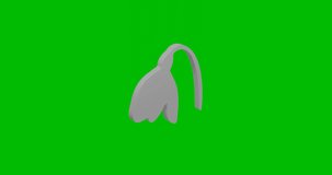 Animation of rotation of a white snowdrop with shadow. Simple and complex rotation. Seamless looped 4k animation on green chroma key background