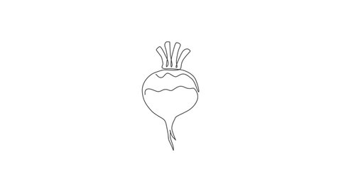 Animated self drawing of single continuous line draw whole healthy organic white turnip for plantation logo identity. Fresh veggie concept for root vegetable icon. Full length one line animation.