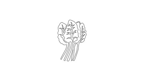 Animation of one line drawing group pile of healthy organic swiss chard for farm logo. Fresh leafy spinach beet concept for vegetable icon. Continuous line self draw animated. Full length motion.