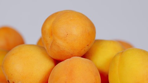 Fresh juicy orange organic apricots isolated on light background. A fresh crop of apricots.