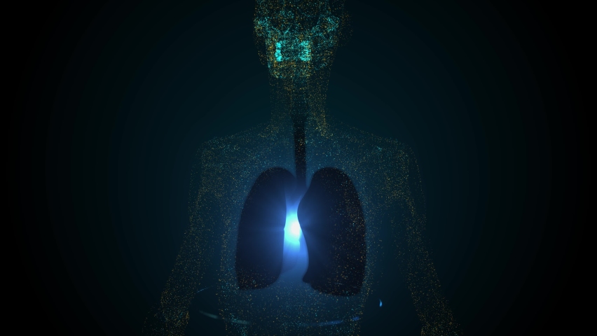 Simulated holographic lungs. Virus Detection 3d Animation. Artificial Intelligence Concept. Human Respiratory System Lungs Anatomy Animation Concept Royalty-Free Stock Footage #1082673721