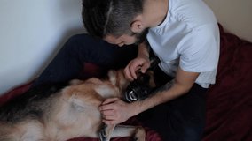 Caucasian handsome man with beard and dreadlocks is sitting on bed on red blanket and stroking German Shepherd. Have fun with dog at home. 4K footage.