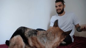 Caucasian handsome man with beard and dreadlocks playing with German Shepherd sitting on bed on red blanket. Have fun with dog at home. 4K footage.