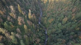 River on the Autumn Season Drone Video Savsat Artvin Turkey