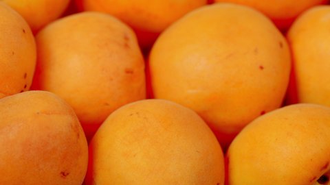 Orange organic apricots isolated on light background.