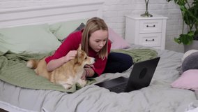 teenage girl with funny corgi dog and laptop on bed at home. Cozy workplace, online education, E-learning concept. Distance communication with laptop