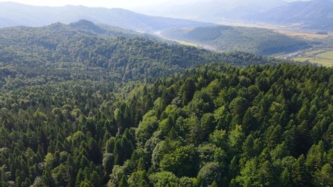 Сinematic aerial view of the endless mountains and forests of southern Slovenia. Drone flying through the forest