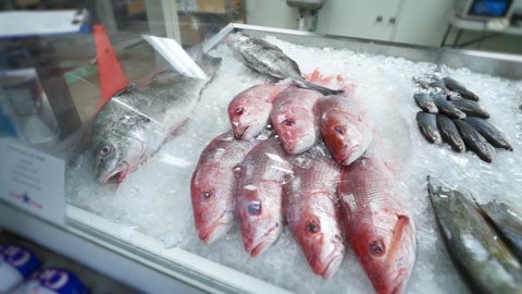 Various types of whole fish organized with ice in fishmongers seafood market display case, HD