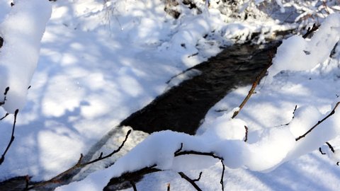 Stream of water, a small river flows against the background of snow. Thaw concept, snow melting, beautiful nature