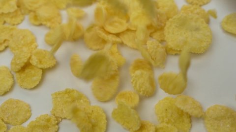 Falling Corn Flakes, Macro, Close-up. Healthy Breakfast for Kids. Healthy Vegetarian Food. Flakes Isolated. Cornflakes background.