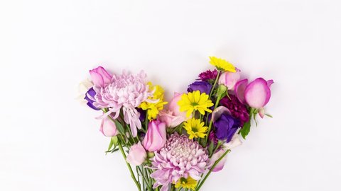 colorful flowers enter the screen, on a white background. Stop Motion