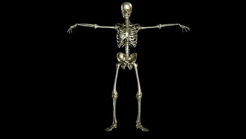 Skeleton dancing. Seamless loop animation on black background, Wave Hip Hop, Ghost character, Dancing Skull, Transparent video with luma matte, 3d render Royalty-Free Stock Footage #1082761699