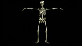 Skeleton dancing. Seamless loop animation on black background, Wave Hip Hop, Ghost character, Dancing Skull, Transparent video with luma matte, 3d render