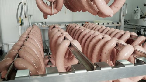 Raw sausage hanging on a shelf in a meat factory, food creation process