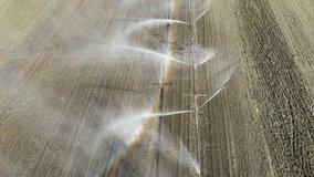 View of water sprinkling in the field. Pivot irrigation used to water plants on a farm. Smooth movement, circular pivot irrigation with drone - agriculture 