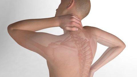 3d animation of back pain and cervical area. Realistic style, showing in part the skeleton of a man. Cropped image white background.