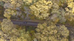 Aerial shot of black car riding at countryside route in yellow autumnal forest. Auto driving through rural road at autumn. SUV moving through scenic landscape way at beautiful fall season. Top view - Powered by Shutterstock - Get 15% off with code: PIKWIZARD15