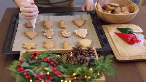 hands decorating baked christmas gingerbread cookies on baking tray tin fir tree shape with glaze home kitchen. wooden table decorated winter holidays new year: green pine brunches red berries lights