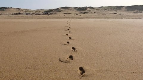 Feet dune bccertification-uat.britishcouncil.org #