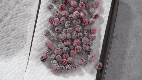 Flat lay. Step by step. Prepating sugar cranberries with organic cranberries and white sugar.