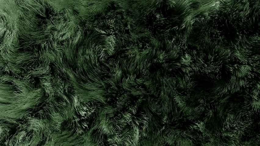 Waving green grass background. 3d rendering, top view. 4K