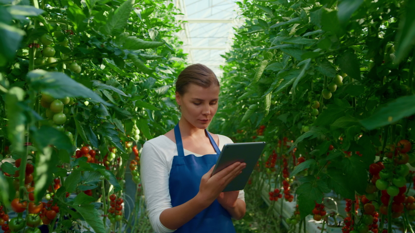 Botanical scientist doing research tablet cultivation tomatoes in greenhouse. Happy woman farm worker collecting data growth plants in modern plantation. Agro business, organic food concept Royalty-Free Stock Footage #1082810593
