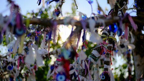 A lot of blue nazar eye sign hang on tree. Tree of dreams in Turkey. Amulet from the evil eye, protection of the house, superstition