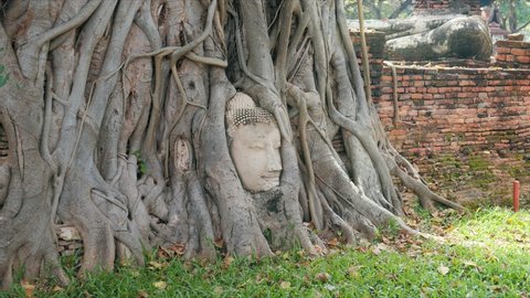 Ayutthaya buddha head in tree roots, Buddhist temple Wat Mahathat in thailand. Amazing Thailand travel concept.