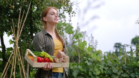 Woman standing on farm holding crate with organic vegetables