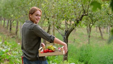 Woman carrying crate with organic vegetables in orchard