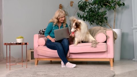 Smiling caucasian Woman using laptop playing with dog sitting on couch at home. Middle age woman relaxing stroking cute pet holding computer enjoying free time in cozy living room on sofa