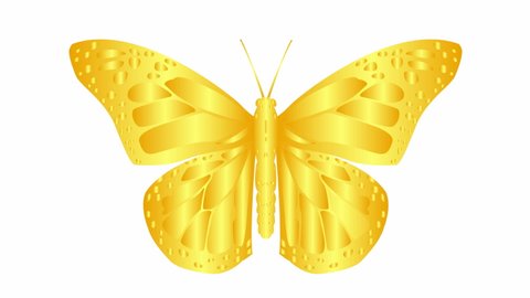 Animated gold butterfly flaps. Looped video. Flat vector illustration isolated on white background.