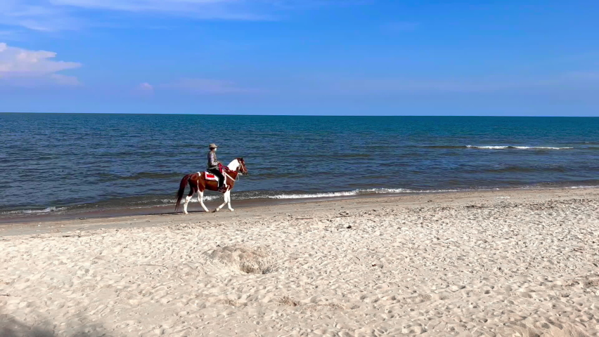 man riding a horse walking on the beach