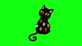 Christmas edition cat with lamp green screen. moving pictures of christmas edition cat. Christmas edition cat with lamp green screen animation. animal edition christmas gift. 4k video footage.