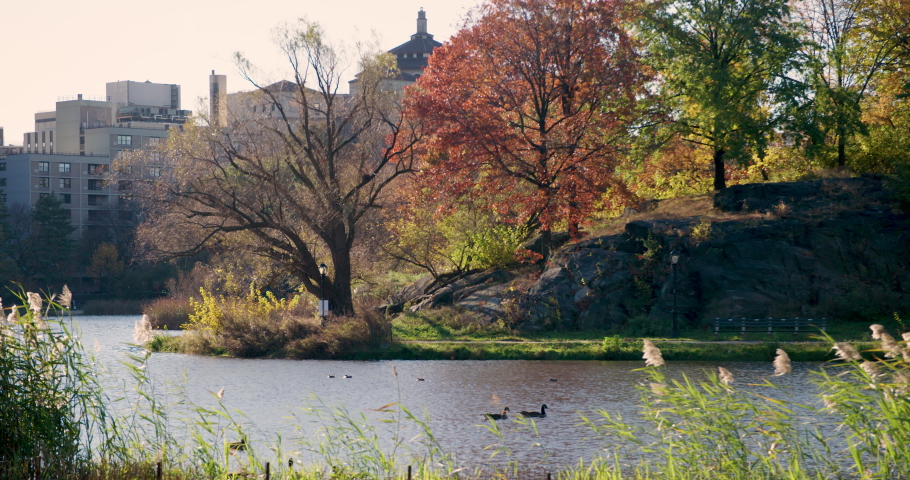Woman Pushes Stroller Along Walking Path Next To Harlem Meer In Central Park, New York City, U.S.A. Royalty-Free Stock Footage #1082865532