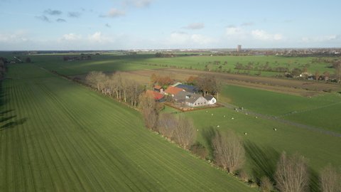 Aerial of a beautiful farm with sheep standing in green meadows