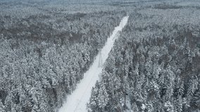 Power lines with many towers in winter snowy forest aerial