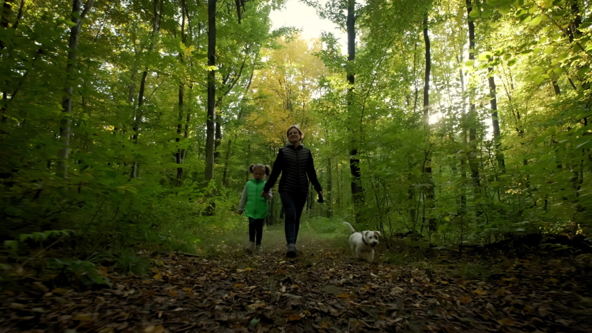 Slow motion footage of Woman with little daughter walking the dog in the forest. travel concept. wide Royalty-Free Stock Footage #1082875432