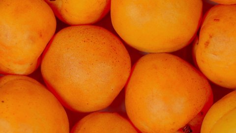 Ripe apricots isolated on a white background. Apricot fruits background.