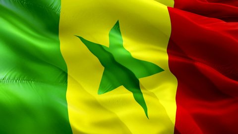 Senegalese flag. 3d Senegal flag waving video. Sign of Senegal seamless loop animation. Senegalese flag HD resolution Background. Senegal flag Closeup 1080p HD video for Independence Day,Victory day
