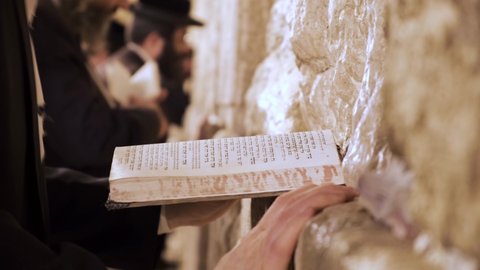 Jerusalem, Israel – Nov 22, 2021: A praying Orthodox Jew holding a Siddur Bible book the Western wall while praying. Other religious jews in the background praying to the Kotel. Wailing wall Jerusalem