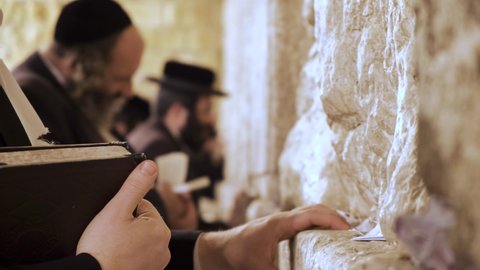 Jerusalem, Israel – Nov 22, 2021: A praying Orthodox Jew holding the Bible  facing the Western wall while praying. Other religious jews in the background praying to the Kotel. Wailing wall Jerusalem