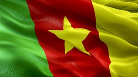 Cameroon flag. 3d Cameroun flag waving video. Sign of Cameroon seamless loop animation. Cameroun flag HD resolution Background. Cameroon flag Closeup 1080p HD video for Independence Day,Victory day
