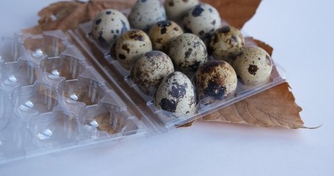 a dozen quail eggs. fresh quail eggs in transparent packaging
