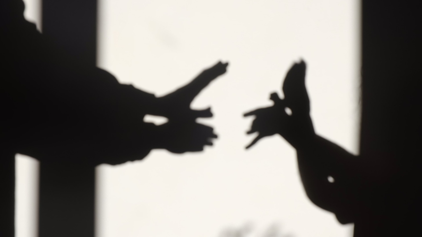 Playful unrecognizable mother with daughter playing at home making shadow puppets flying birds with sunlight enjoying weekend, fun family spending time together. Beautiful silhouettes of animals Royalty-Free Stock Footage #1082904154