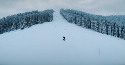 People skiing. Tourists winter sport in Alps. Snow slope on mountain ski resort. Ski track in snow-covered pine tree forest. Nature. Winter vacation, outdoor sports, recreation. Aerial drone flight