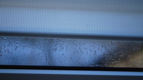 raise window shutter in order to check the condensation on the window