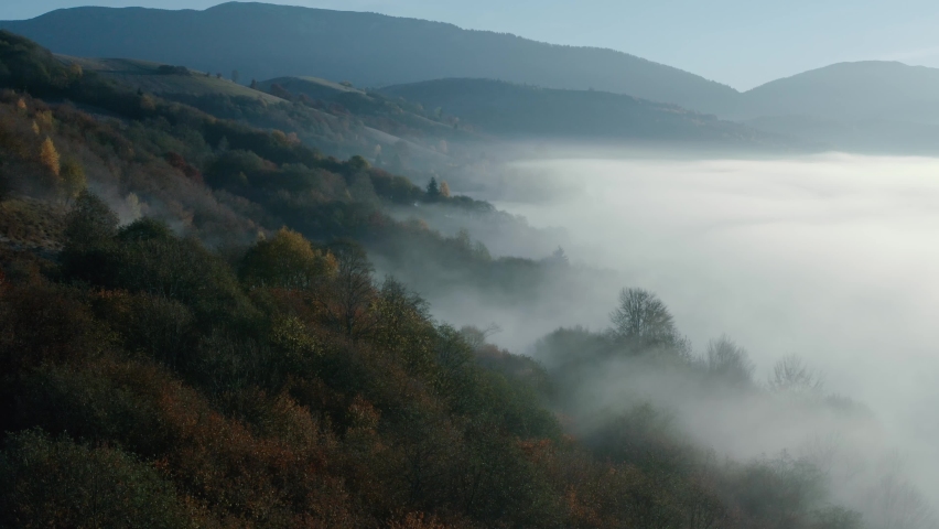 Autumn forest mountain top dawn fog drone view