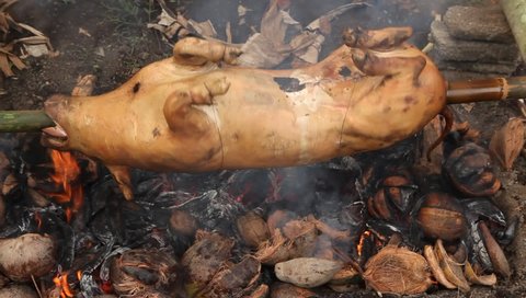 Cooking pig on a spit using coconut husk for fuel.