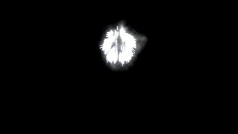 White fireworks on a black background, 3d rendering 